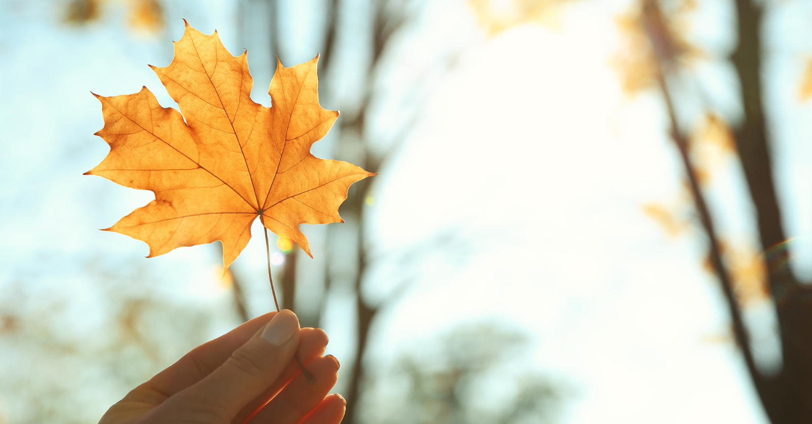 Brenda ei tiennyt, mihin työhön enää kykenisi – löysi uuden mahdollisuuden Kelan työkokeilussa